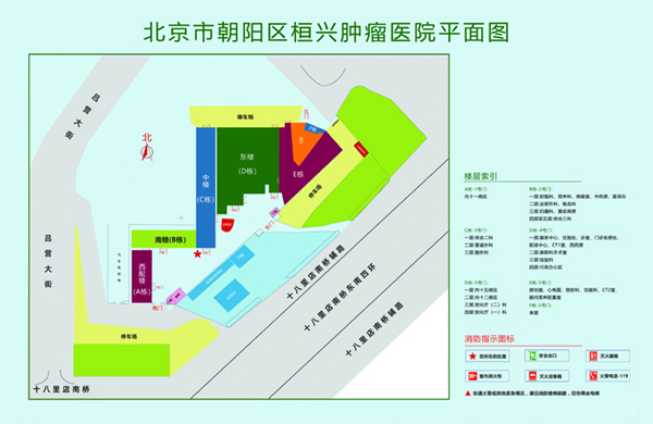 黄色插逼内射网站北京市朝阳区桓兴肿瘤医院平面图